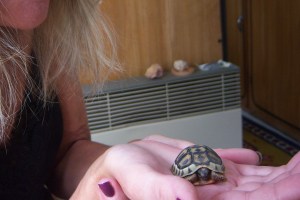 John brought me a surprise..