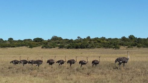 75040_695409673836844_1430681968_n[1]