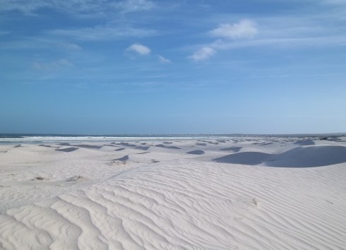 SA Summer 2011 and 2012 042