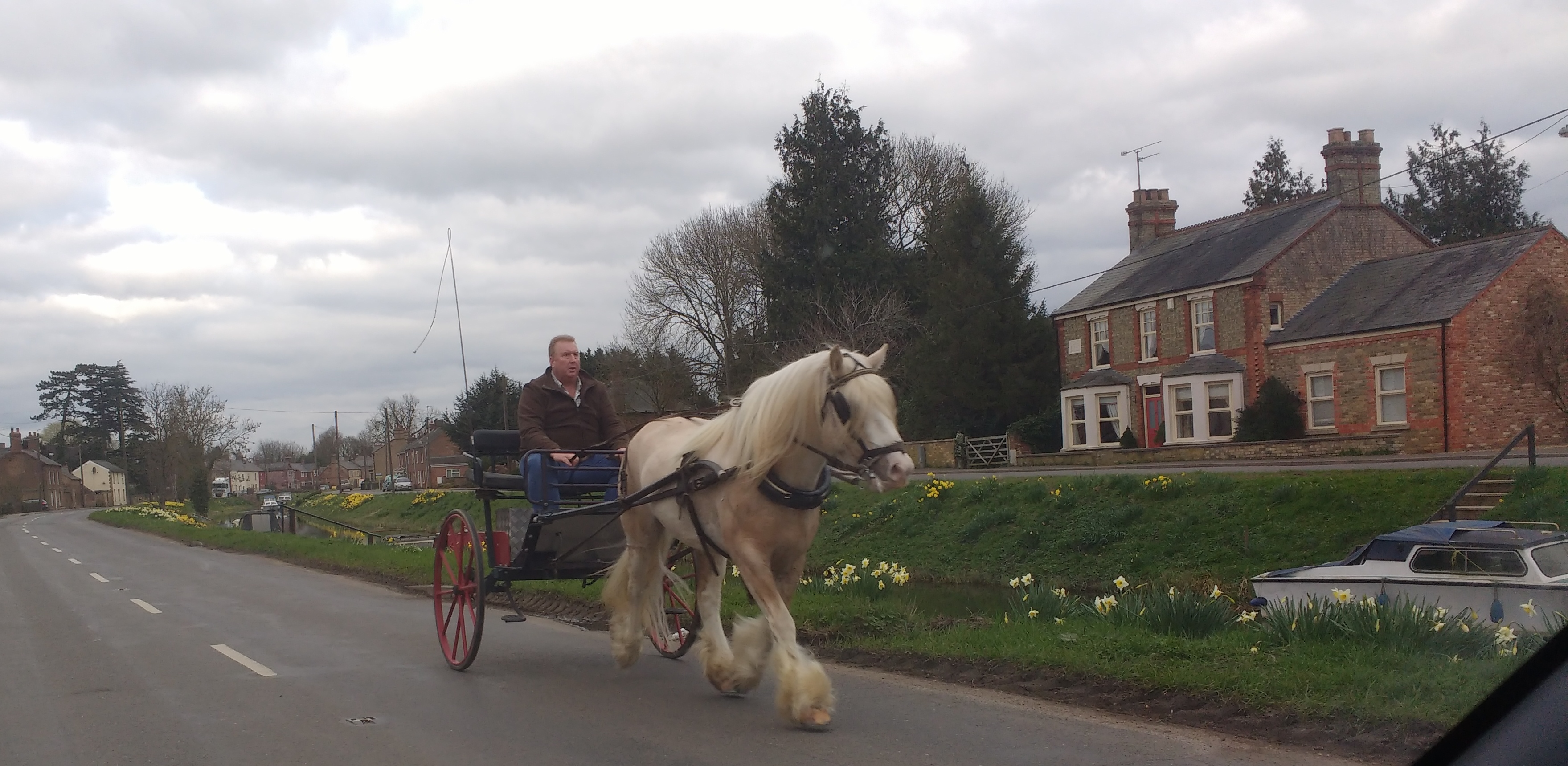 IMG_20170313_161245684