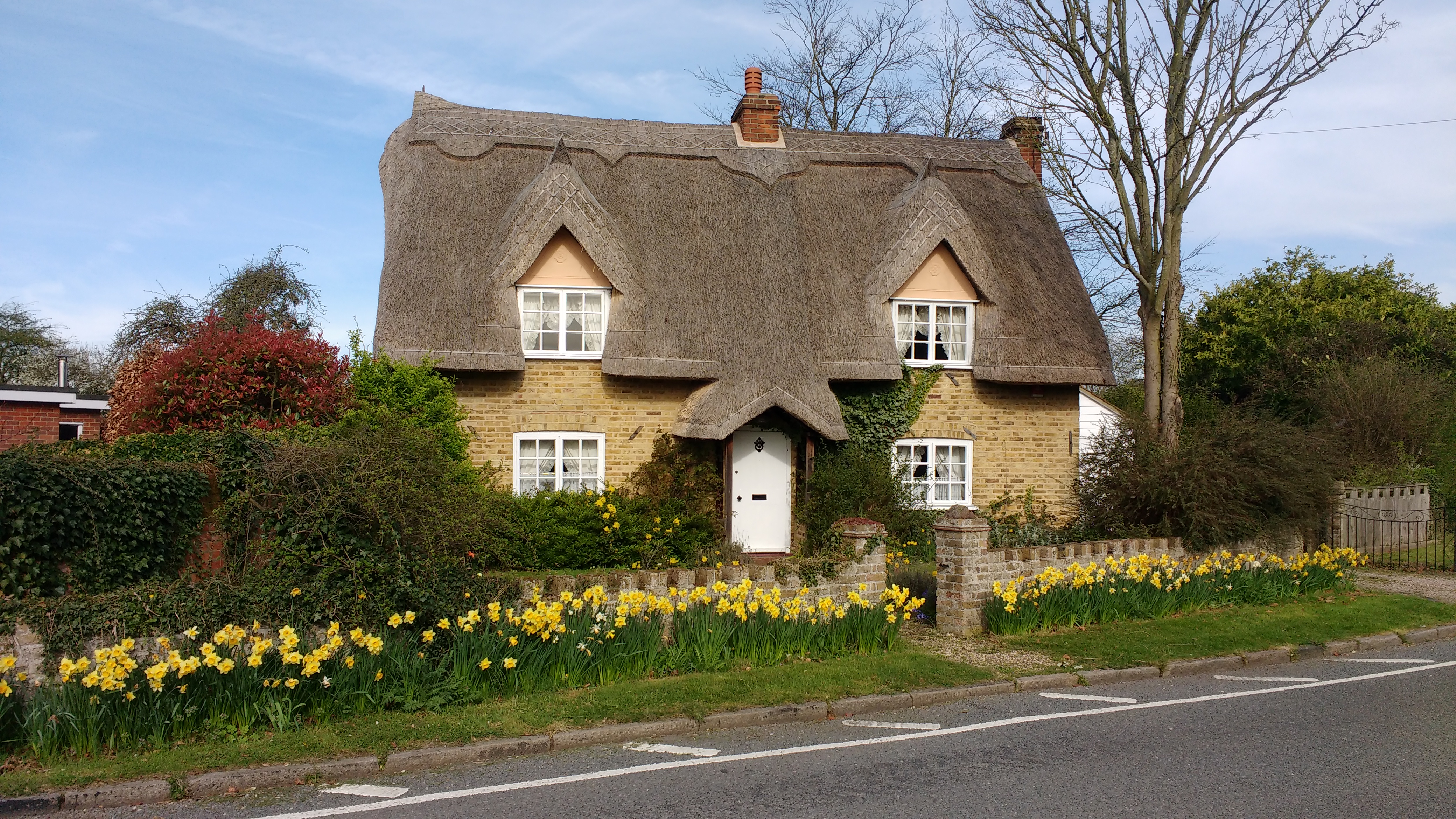 IMG_20170330_095115551 (2)