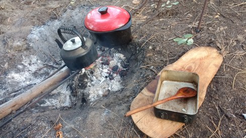 IMG_20170520_171316979