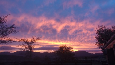 IMG_20170620_073654250