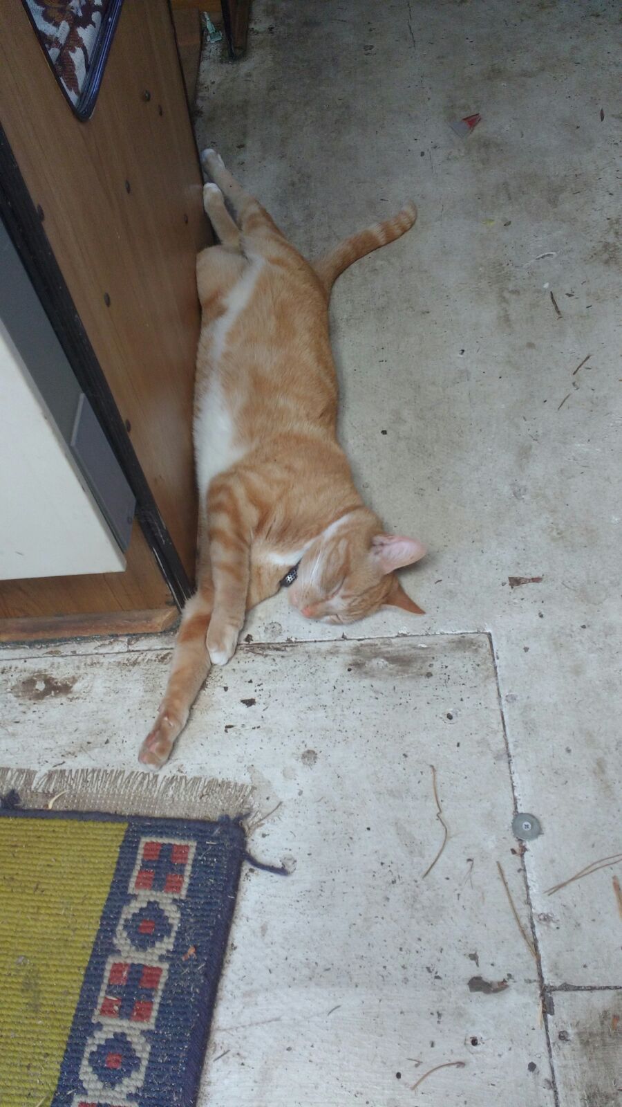 WhatsApp Image 2017-11-10 at 17.26.54