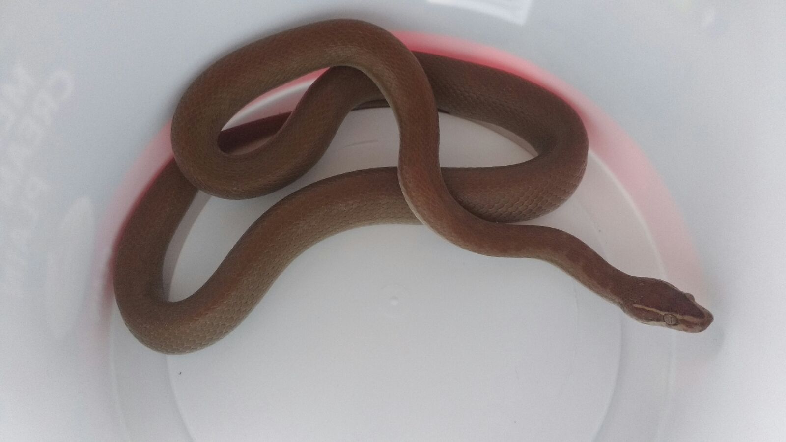 WhatsApp Image 2017-11-10 at 17.27.45