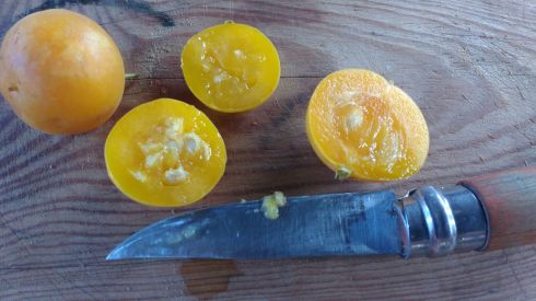 WhatsApp Image 2018-01-22 at 17.45.41