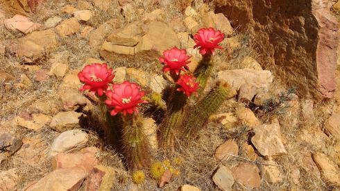 WhatsApp Image 2018-02-02 at 16.28.10