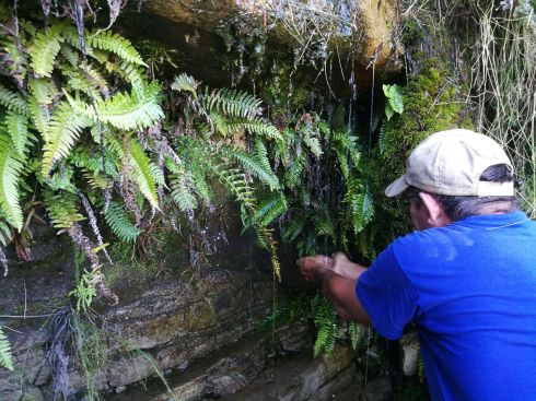 WhatsApp Image 2018-02-02 at 16.29.30