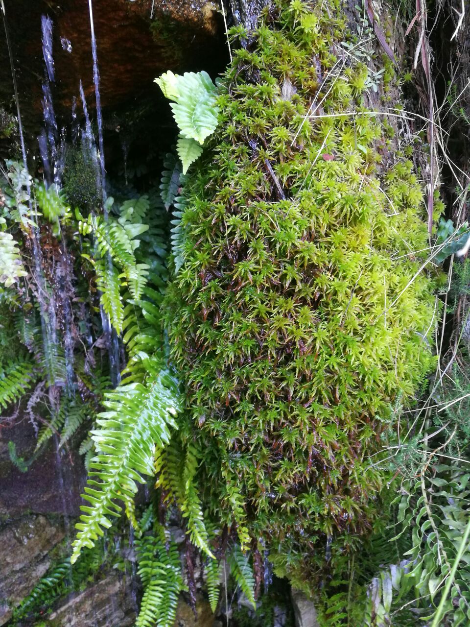 WhatsApp Image 2018-02-02 at 16.30.21