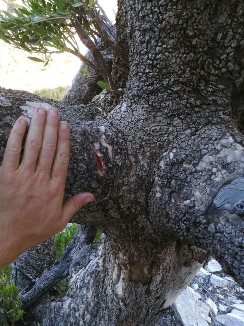 WhatsApp Image 2018-02-02 at 16.33.51