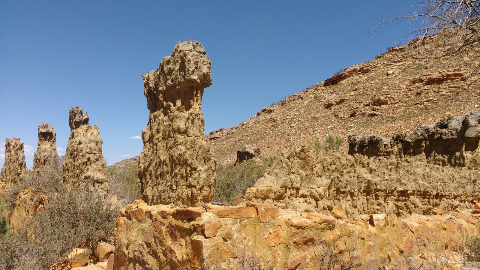 WhatsApp Image 2018-02-02 at 16.38.51