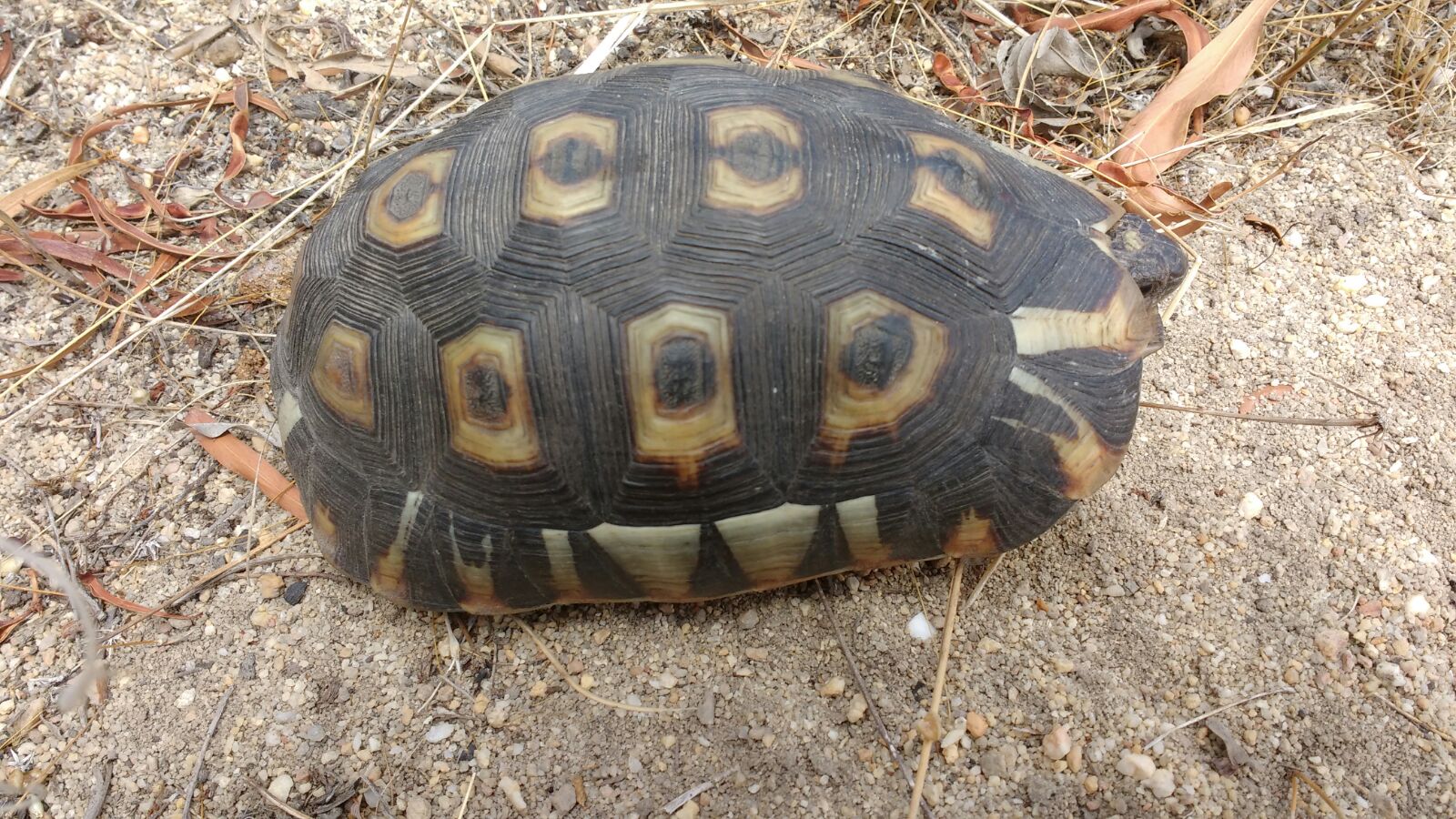 WhatsApp Image 2018-02-02 at 16.43.18