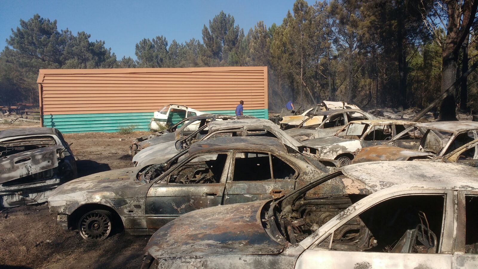 WhatsApp Image 2018-02-05 at 17.33.06