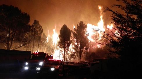 WhatsApp Image 2018-02-05 at 17.33.29