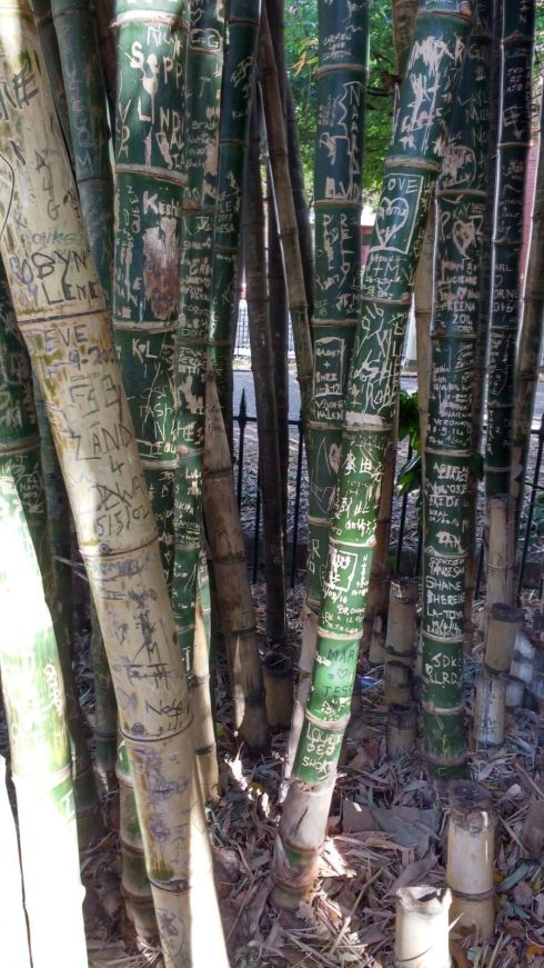 WhatsApp Image 2018-02-11 at 14.16.12