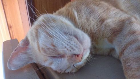 WhatsApp Image 2018-02-15 at 11.09.47