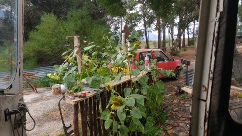 WhatsApp Image 2018-02-15 at 11.33.00