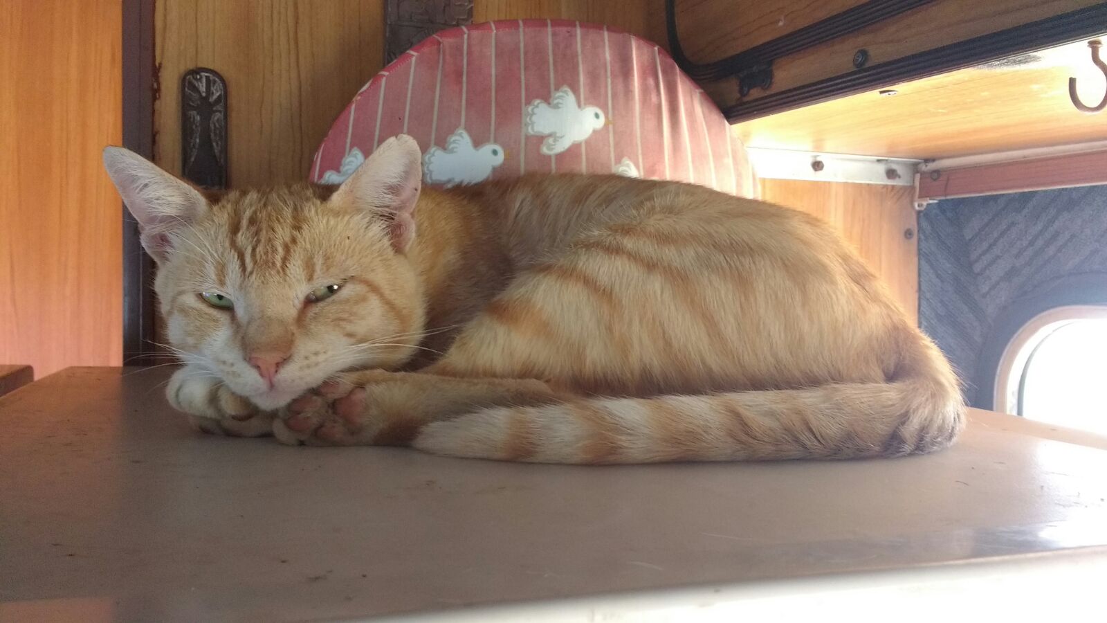 WhatsApp Image 2018-02-15 at 12.02.43