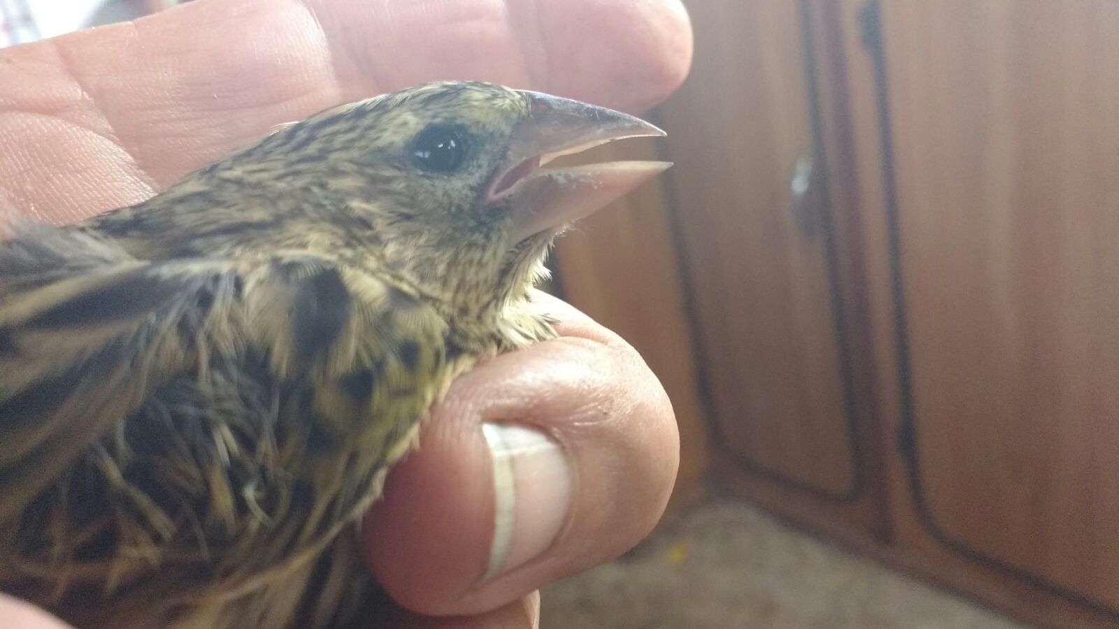 WhatsApp Image 2018-02-16 at 16.12.12